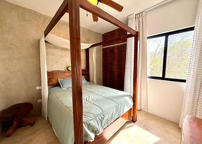 Location Appartement